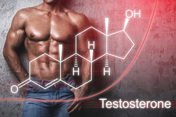 筋肉の合成に必要不可欠な「成長ホルモン・テストステロン」値の向上に期待できる